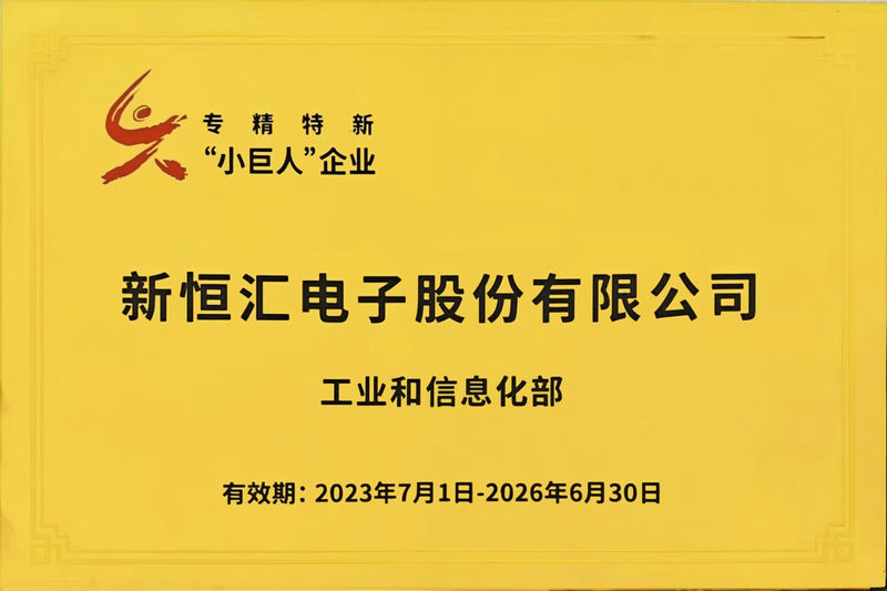 專(zhuān)精特新”小巨人“企業(yè)